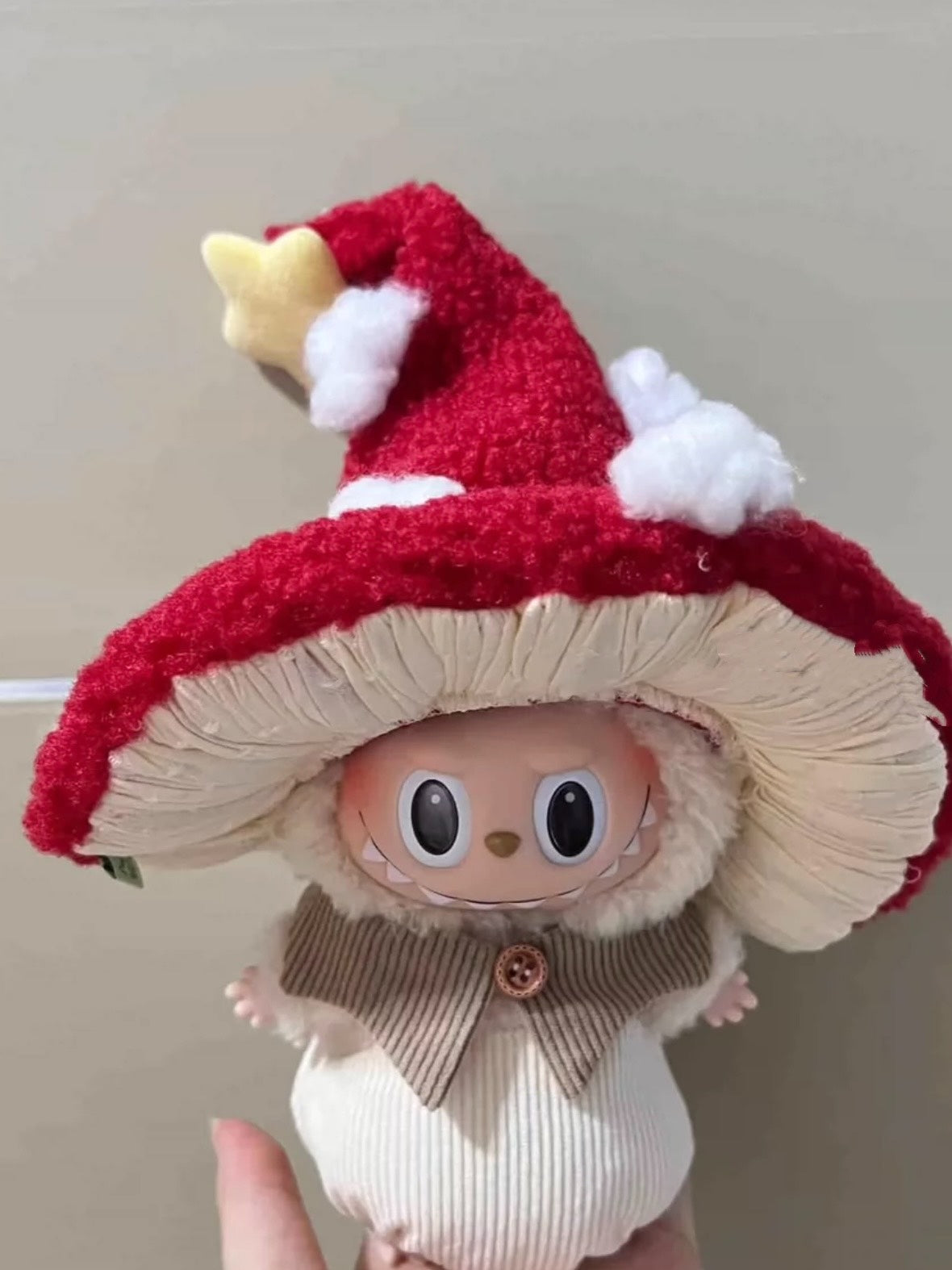 Mushroom bag